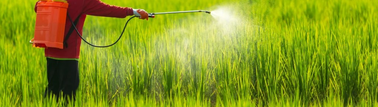 Французькі фермери обурені обмеженнями щодо використання пестицидів