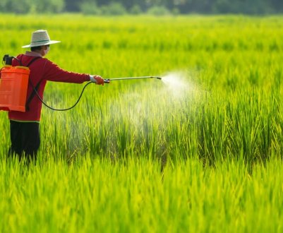 Французькі фермери обурені обмеженнями щодо використання пестицидів
