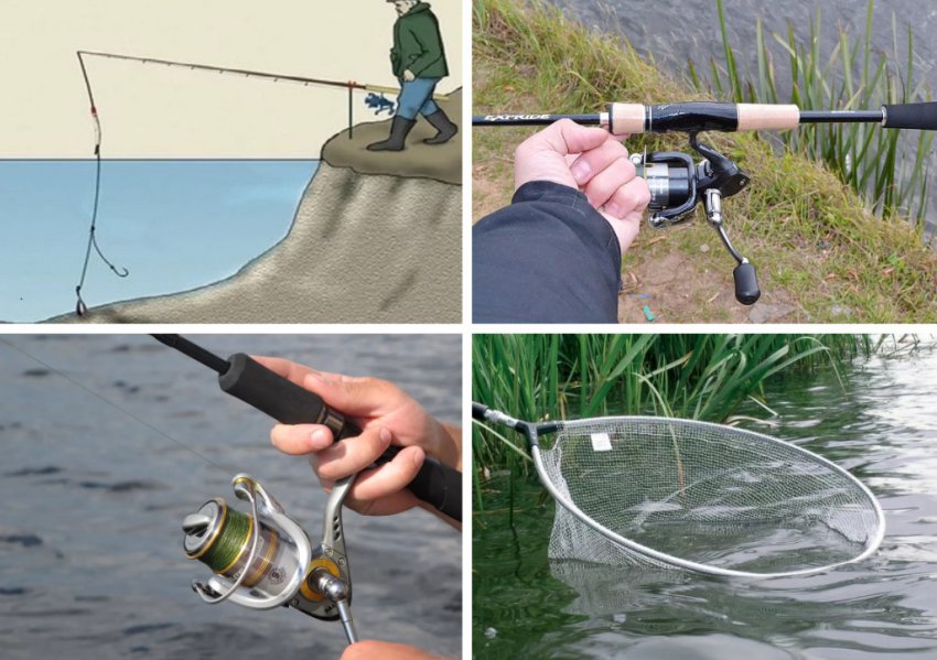 Особливості та техніка лову Особливості та техніка лову