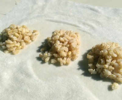 Как сделать кашу для кормушки