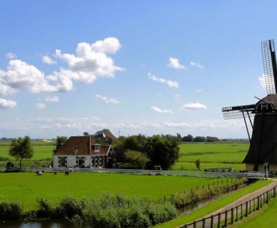 Голландські фермери залишають країну в пошуках кращого життя