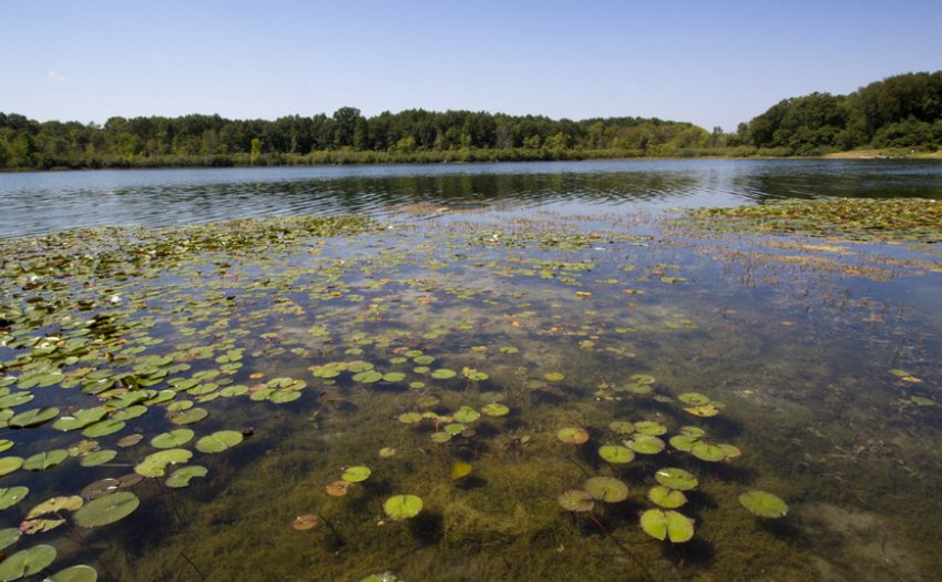 Мілководдя