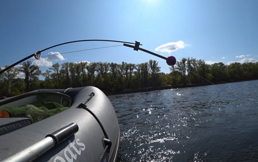 Ловля ляща на кільце