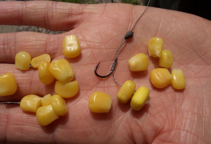 Рослинна наживка