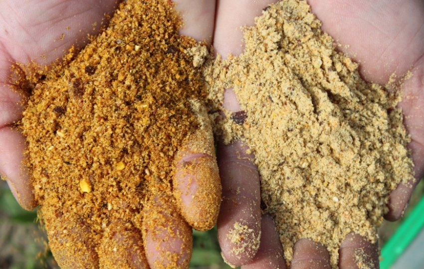 Прикормка для ляща