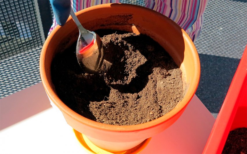 Грунт для рослини
