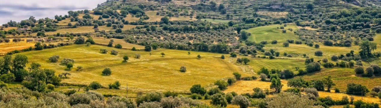 Сицилійська мафія перехопила кошти ЄС, виділені на сільське господарство