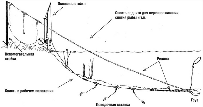 Ловля карася на гумку Ловля карася на гумку