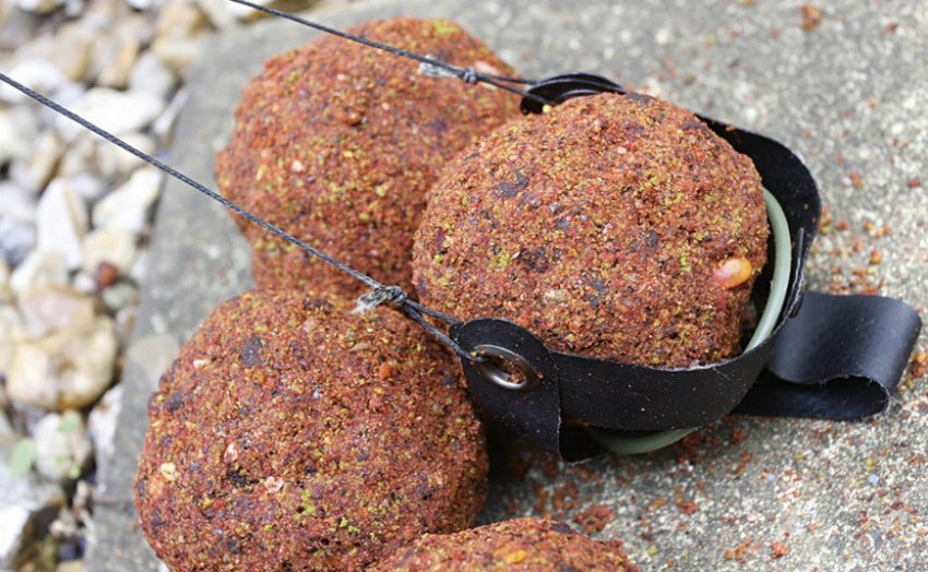 Підгодовування Підгодовування