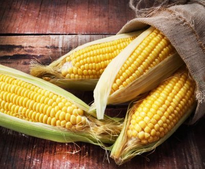 Американські вчені заглядають в майбутнє, вивчаючи кукурудзу