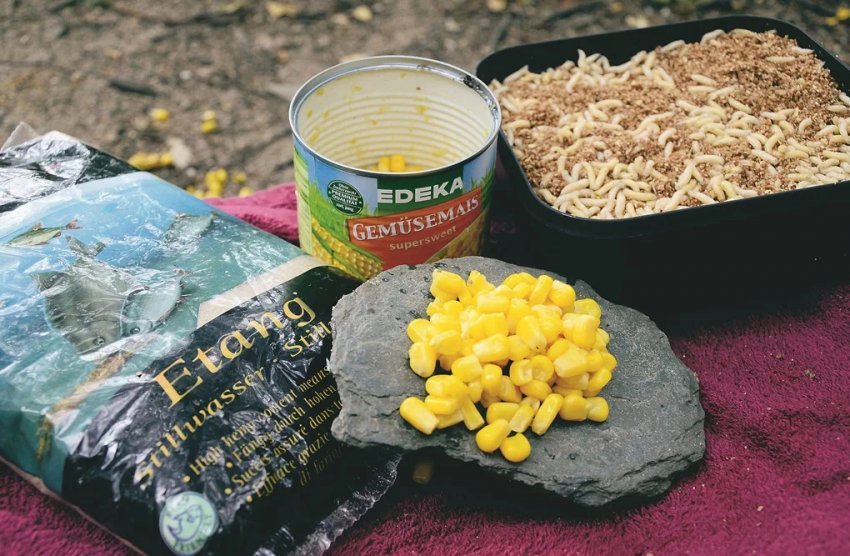 Прикормки на карася Прикормки на карася