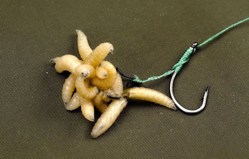 Наживка на ляща Наживка на ляща