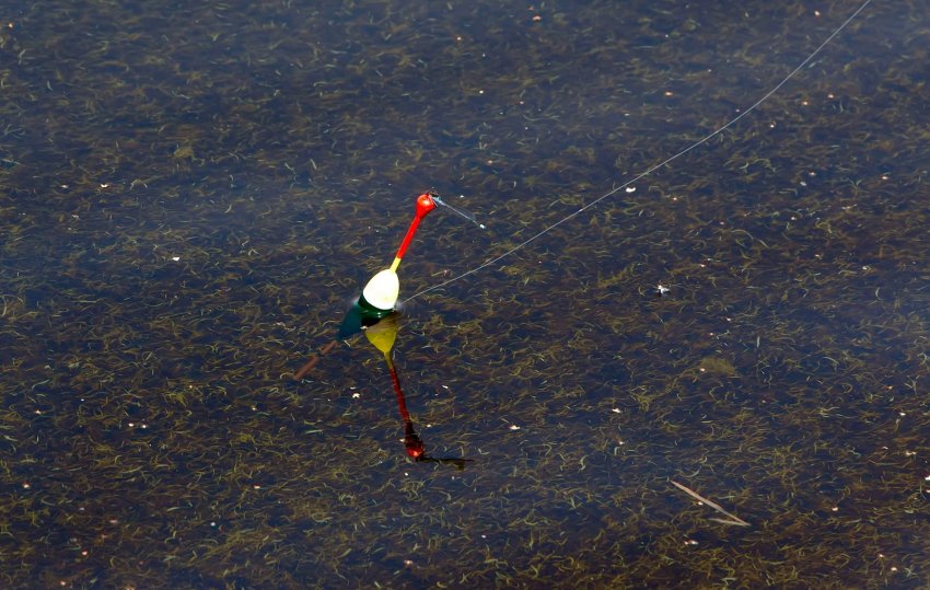 Ловля ляща на поплавкову вудку Ловля ляща на поплавкову вудку