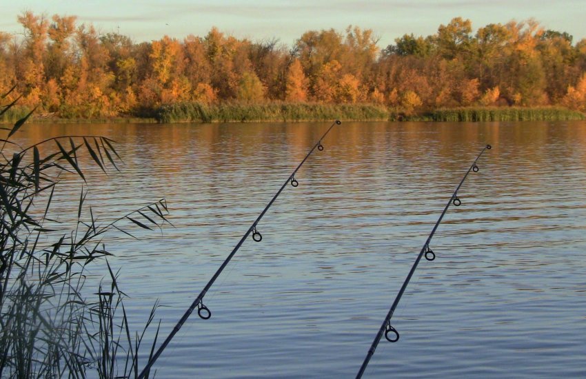 Ловля ляща з берега Ловля ляща з берега