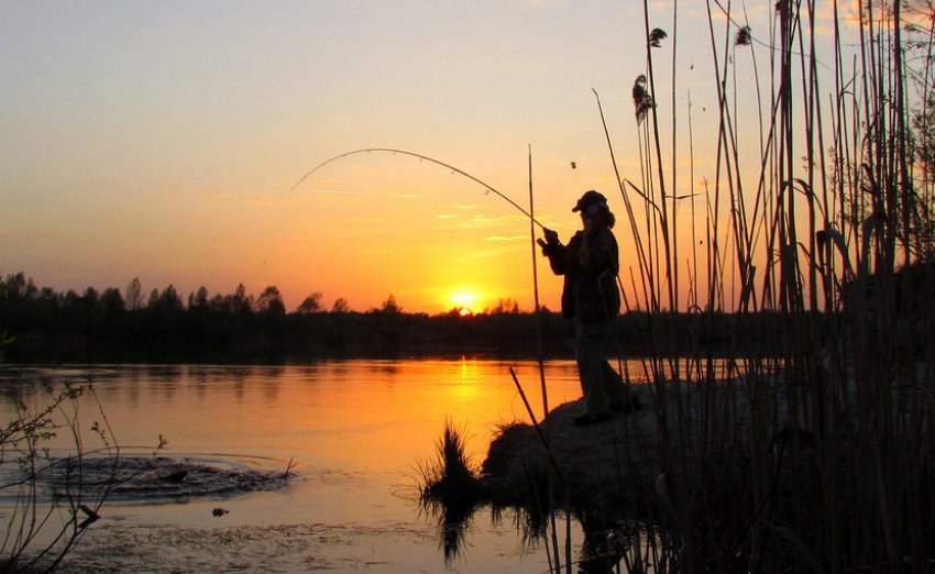 Риболовля на карася Риболовля на карася