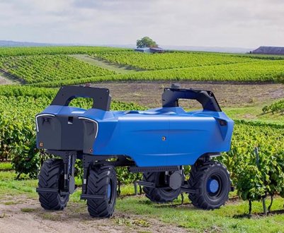 Французькі роботи відразу займуться виноградом