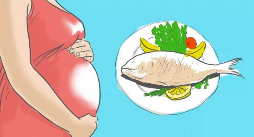 Употребление леща во время беременности