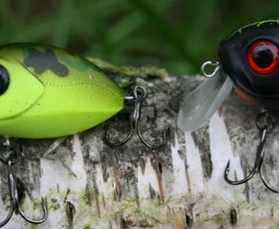 Найкращі та найуловливіші воблери для лову головня