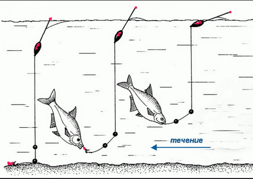 Риболовля на течії Риболовля на течії