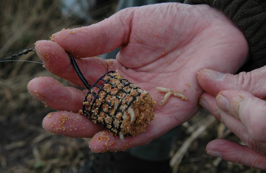 Прикормка на фідер для карася Прикормка на фідер для карася