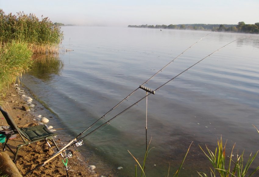 Риболовля на карася Риболовля на карася