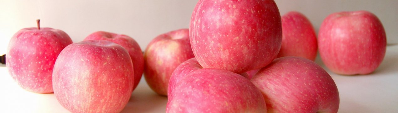 Вашингтонські фермери виростили яблука для койотів і сорок