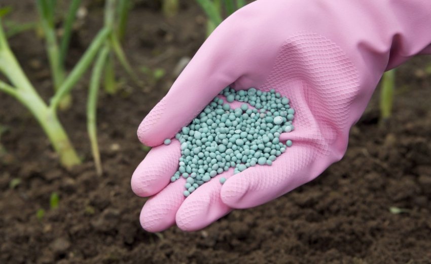 Добриво ґрунту