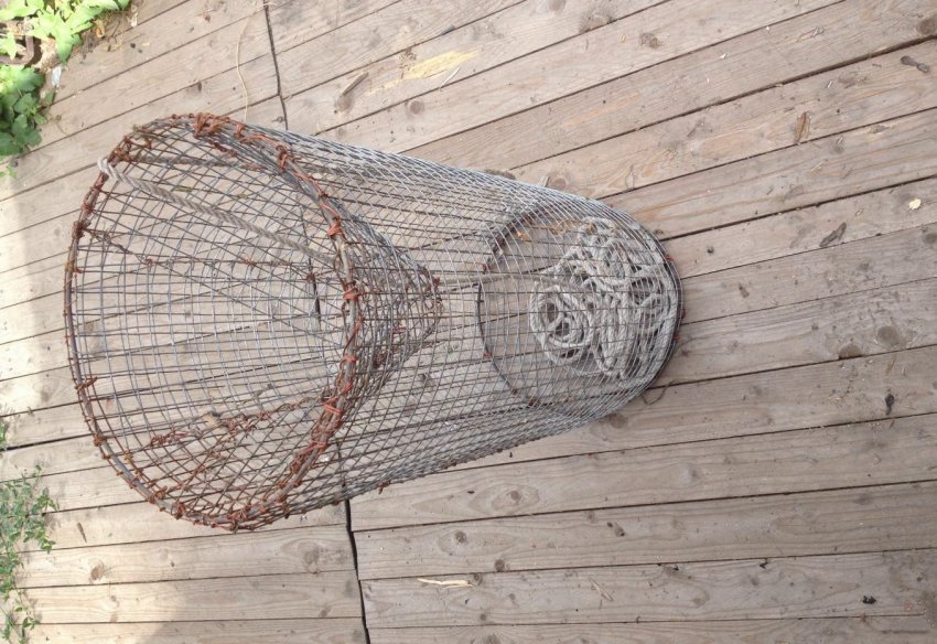 Верша з металевої сітки