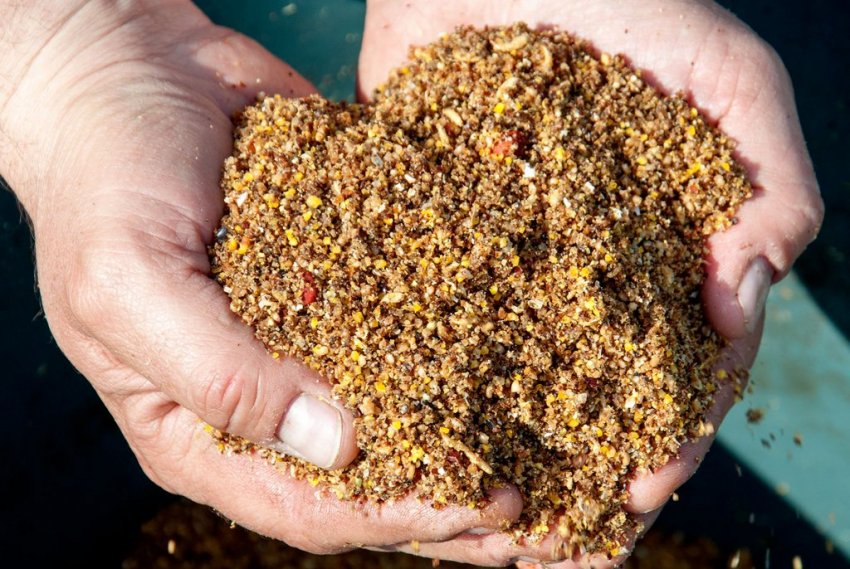 Прикормка на карася