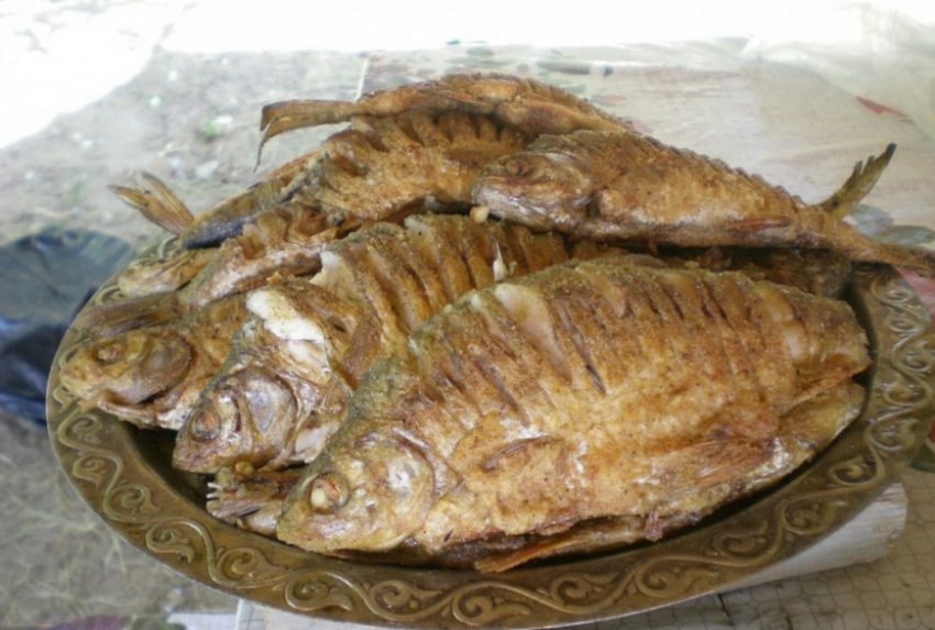 Жерех или язь что вкуснее. Смотреть фото Жерех или язь что вкуснее. Смотреть картинку Жерех или язь что вкуснее. Картинка про Жерех или язь что вкуснее. Фото Жерех или язь что вкуснее