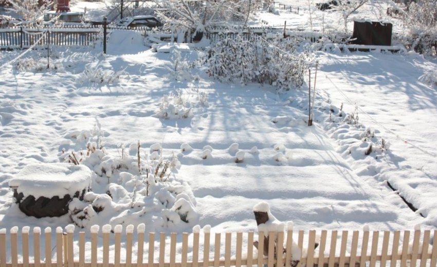 Місячний календар для городника на лютень 2020 року Місячний календар для городника на лютень 2020 року