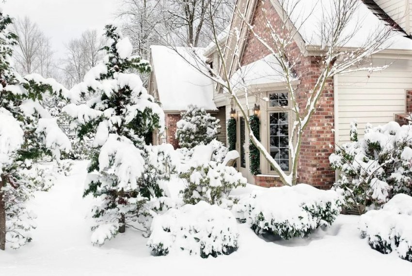 Місячний календар для городника на лютень 2020 року Місячний календар для городника на лютень 2020 року