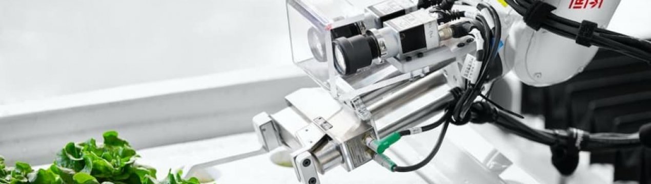 В Україні розроблено роботизовану міні-ферму