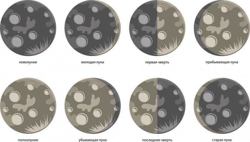 Лунний календар огородника на лютого 2020 року Лунний календар огородника на лютого 2020 року