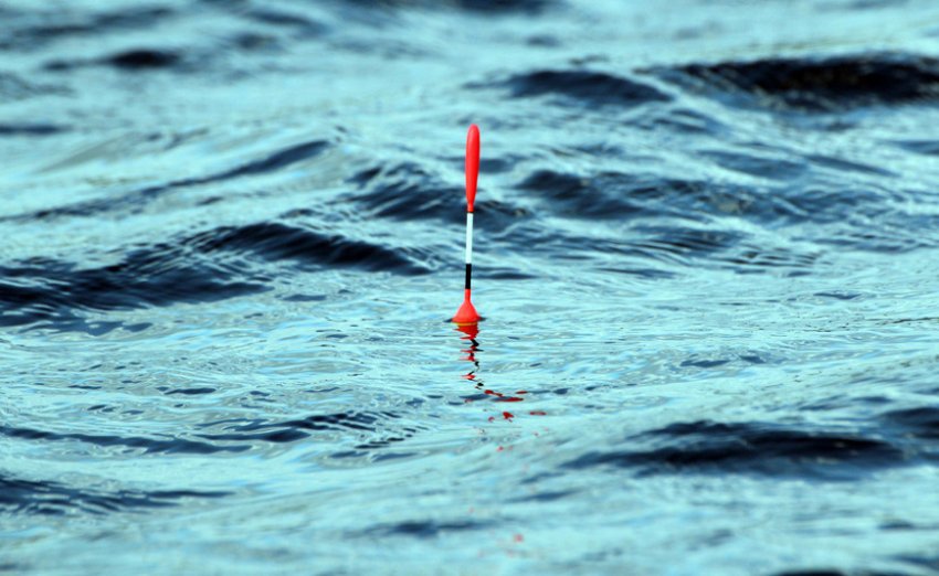 Поплавок на деренчливій воді