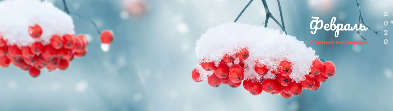 Місячний календар садівника на лютого 2020 року