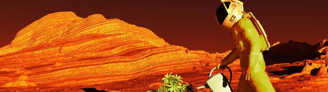 К колонізації Марса і Місяця готові: зібрано перший урожай в імітованому ґрунті