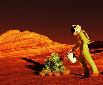 К колонізації Марса і Місяця готові: зібрано перший урожай в імітованому ґрунті