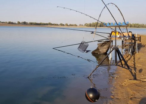 Риболовля на карася в серпні на фідер