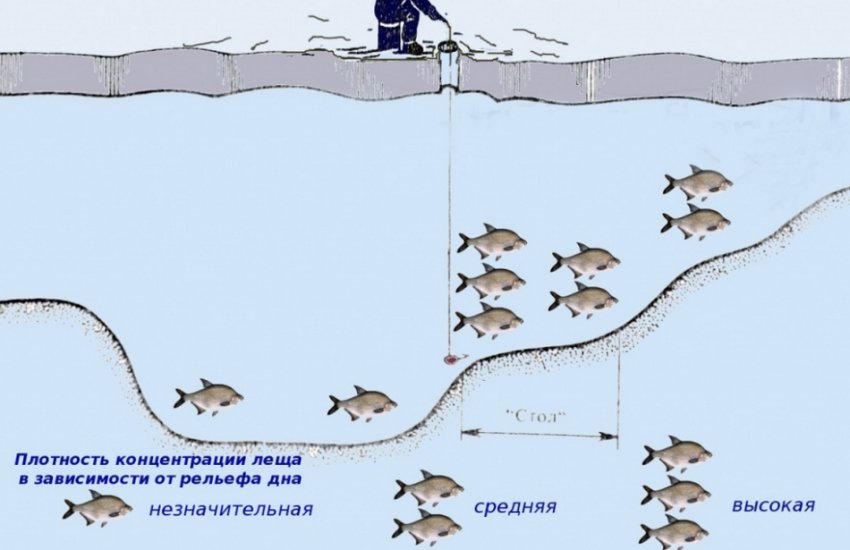 Ловля леща мормышкой