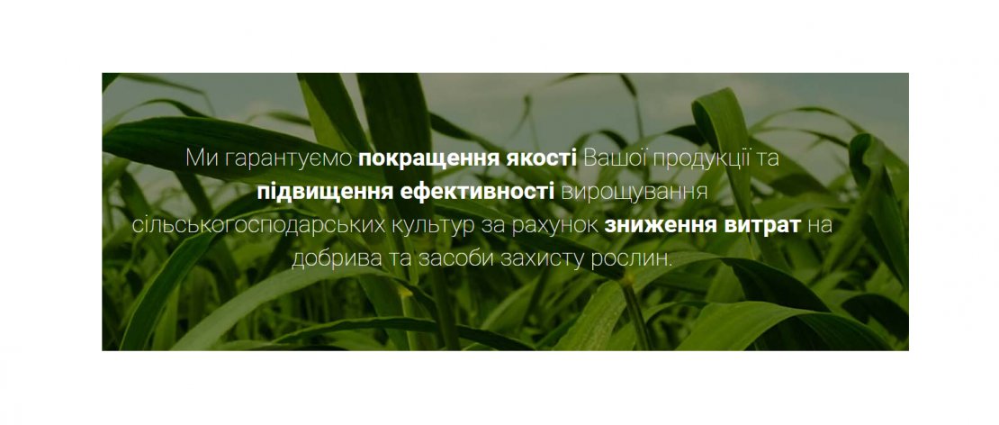ООО «Азотер»