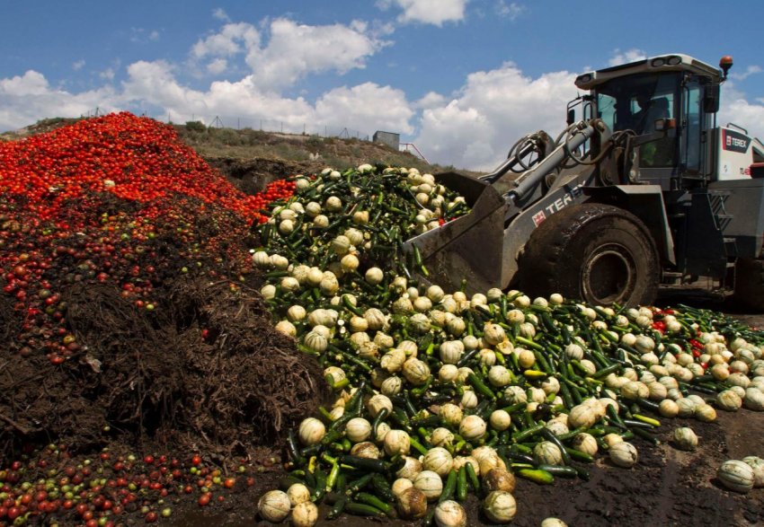 Сільськогосподарські відходи можуть стати «батьками» біопластика