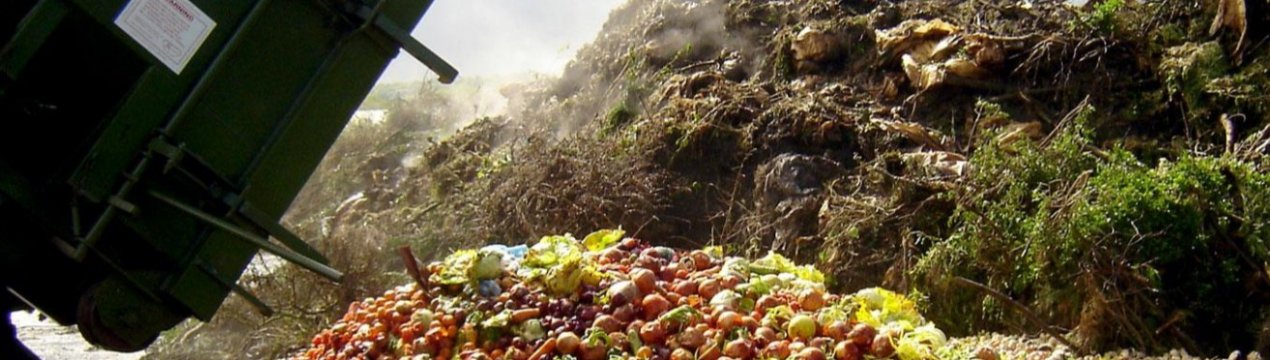 Сільськогосподарські відходи можуть стати «батьками» біопластика