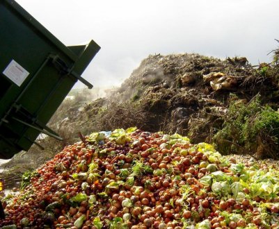 Сільськогосподарські відходи можуть стати «батьками» біопластика