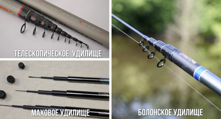 Види вудилищ