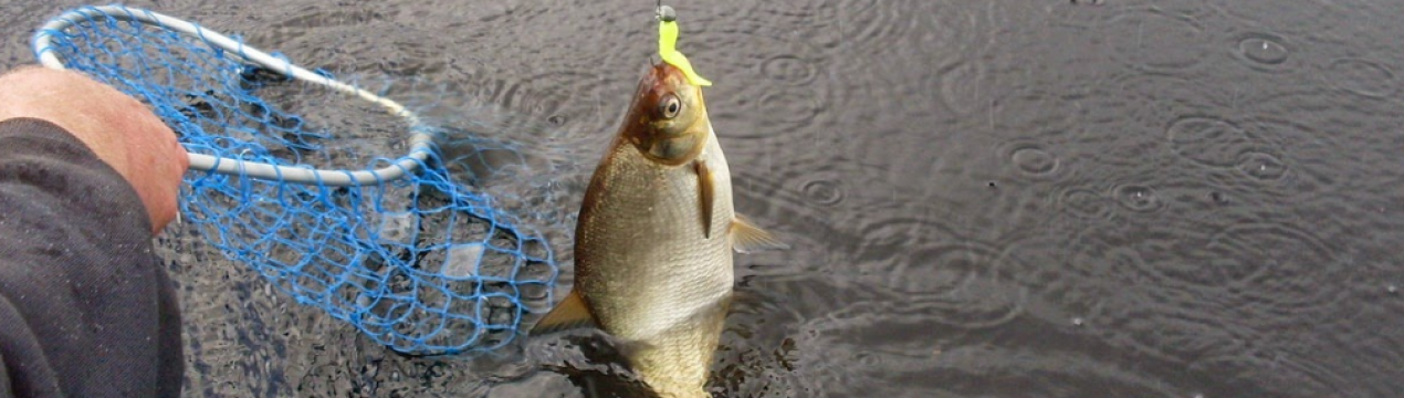 Які гачки вибрати для риболовлі на ляща