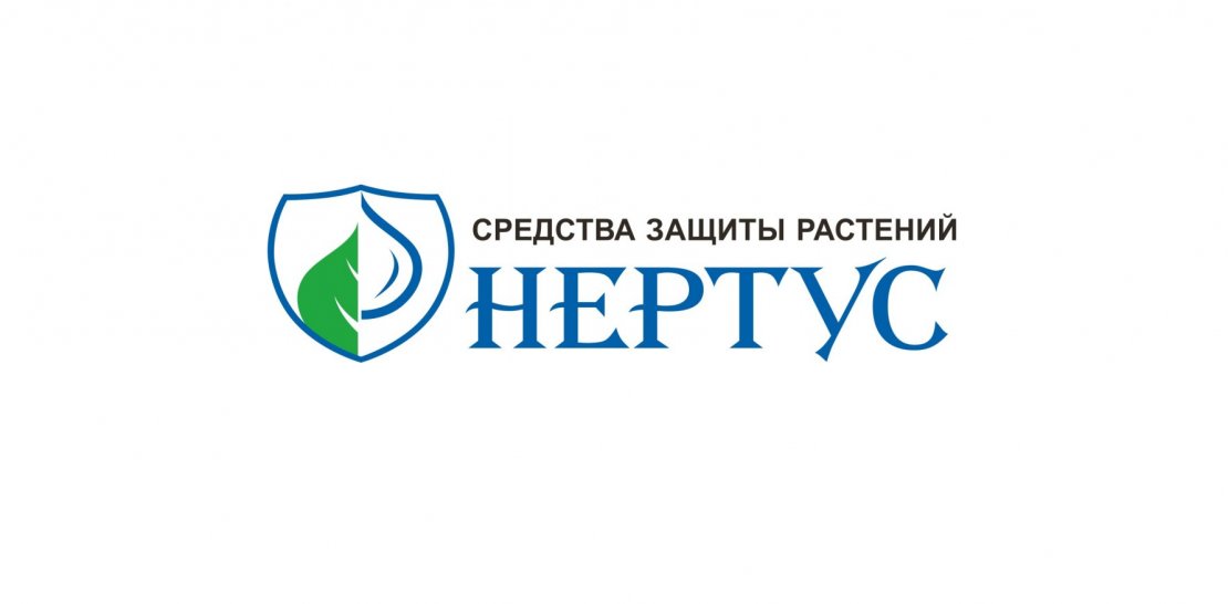 ООО «Нертус»