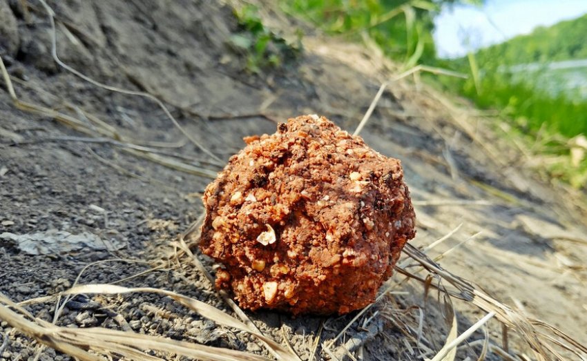 Прикормка на карася Прикормка на карася