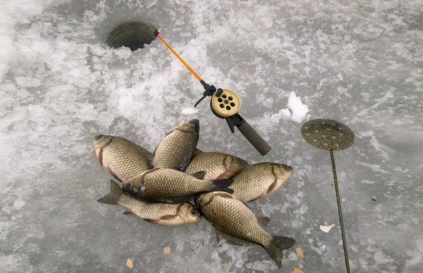 Риболовля на карася в березні Риболовля на карася в березні