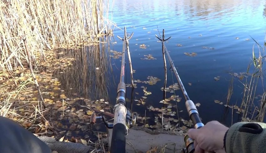 Ловля карася у вересні Ловля карася у вересні